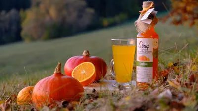 EMEDIS s.r.o. - CAMELLUS